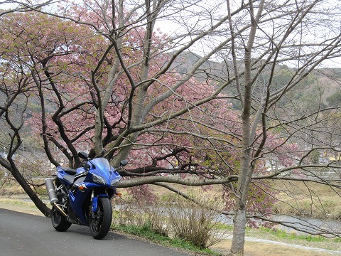 ���ɓ��@����@��